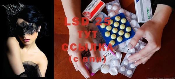 ПСИЛОЦИБИНОВЫЕ ГРИБЫ Новодвинск