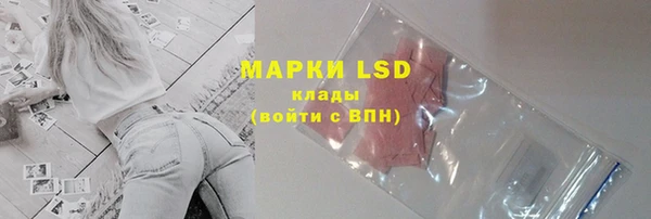 ПСИЛОЦИБИНОВЫЕ ГРИБЫ Новодвинск