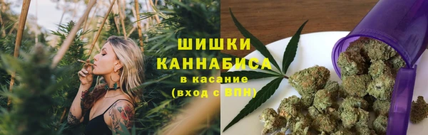 ПСИЛОЦИБИНОВЫЕ ГРИБЫ Нефтекумск