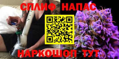 Альфа ПВП Можга