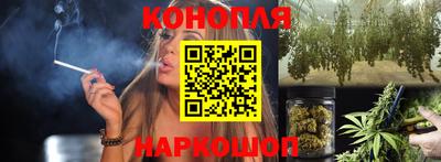 гидра Бийск