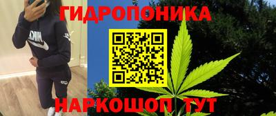 СК Моздок