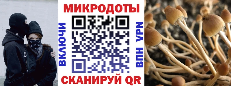 Галлюциногенные грибы Magic Shrooms  Прокопьевск 