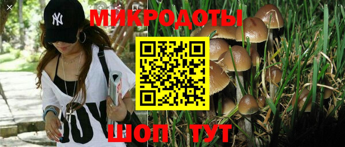 Галлюциногенные грибы Psilocybine cubensis  Вход с VPN  Галлюциногенные грибы Cubensis  Прокопьевск 